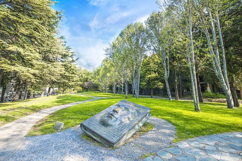 拷贝漫画
召开2023年春季学期教学工作务虚会